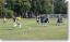 Thumb_small_1073_140267716_DSC03571