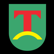 Ślesin
